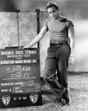 Marlon Brando Photo