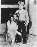 Jon Provost Photo