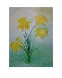 Daffodil Impressão giclée por Barbara Aliaga