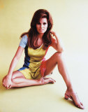 Raquel Welch Photo