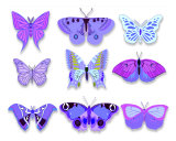 Purple Butterflies Photographic Print by Estela Gebhardt