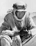Peter O'Toole Photo