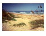 Padre Sand Dunes Giclee-trykk av Daniel Bourbonnais
