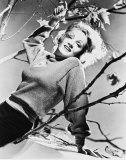 Marlene Dietrich Photo