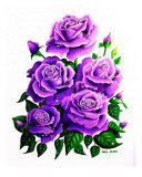 Raindrops Series 2 Purple Roses Giclee Print by Lori White
