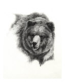 Grizzly Giclee Print by S. Heather Theurer