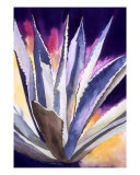 Agave 5 Giclee Print by Eunice M. Olson