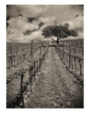 Double Vintage Photographic Print by Jeff Tangen