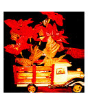 Flowrz A Trucn Photographic Print by Annett Strahan