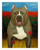 Poodle Dave, Pit Bull Giclee Print by Carol Lynn Nesbitt