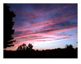 Pink Sunset Photographic Print by Debrosi Art 