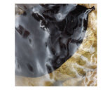 Clear 3 Photographic Print by Ofer Mizrachi