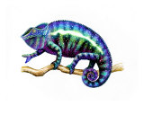 Colorful Chameleon Giclee Print by Carolyn Mcfann