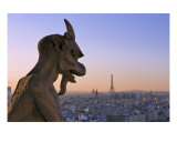 Gargoyle At Notre Dame Photographic Print by Mark Holdefehr