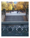 Stairs In Central Park Photographic Print by Wayne Houser