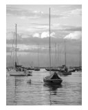 Harbor Sailboats And Fishing Boats Photographic Print by Mary-anne Ganley