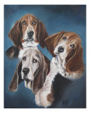 Bassett Hounds Giclee-trykk av Marlene Barrett