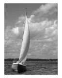 Prepare To Tack! Photographic Print by Mary-anne Ganley