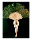 Peacock Photographie par James Saenz