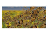 Bees Photographic Print by Tom Wrenn