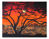 Another Day In The Life Of A Tree Giclee Print by Rebecca Shadrick