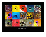 Eye Sea IV Fotografie-Druck von Dray Van Beeck
