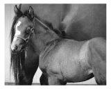 First Day Photographic Print by Michelle Ciarlo-hayes