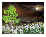 Make A Wish Giclee Print by Lil Taylor