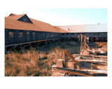 Steveston Fishing Village 4 Photographic Print by Sari Mcnamee
