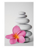 Zen Still Life Fotografisk trykk av Alex Bramwell