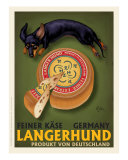 Chad Otis - Langerhund Feiner Kase - Dachshund Digitálně vytištěná reprodukce