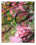 Garden Zen Goddess I Impressão giclée por Francisco Valente Garden Zen Goddess I Impressão giclée por Francisco Valente