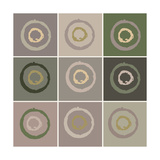 Nine Patch Circles In Circles Photographic Print by Ricki Mountain