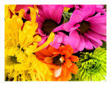 Mixed Bouquet Photographic Print by Florene Welebny