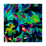 Blooming Blue Abstract Lámina fotográfica por Ruth Palmer