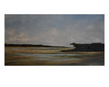 The Cape In Summer Giclee Print by Douglas King