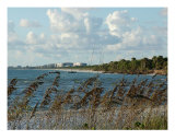 Beach Dunes Photographic Print by Florene Welebny