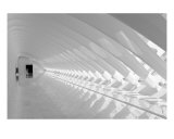 Milwaukee Art Museum VIII Photographic Print by Brendan Mcweeney
