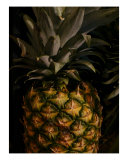 A Sweet Pineapple Photographic Print by Florene Welebny