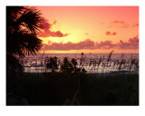 Not Just Another Sunset Photographic Print by Florene Welebny
