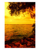 Across The Shore Photographic Print by Florene Welebny