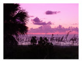 Paradise Day Ends Photographic Print by Florene Welebny