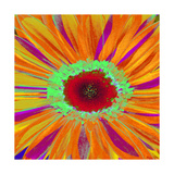 Pop Gerber II Giclée-Druck von Ricki Mountain
