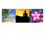 Tropical Asia Triptych Fotografisk trykk av Alex Bramwell