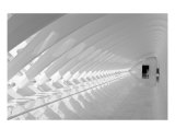 Milwaukee Art Museum IX Photographic Print by Brendan Mcweeney