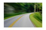 Forest Road Trip Photographie par Steve Gadomski