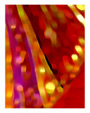 Detail Fotografie-Druck von Vicky Brago-Mitchell