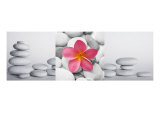 Flower and Pebble Triptych Fotografisk trykk av Alex Bramwell
