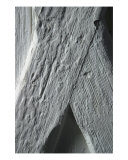 Close Up Of An Old Wood Panel Door Photographic Print by Clarence Carvell