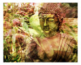 Garden Zen Buddha Impressão fotográfica por Francisco Valente Garden Zen Buddha Impressão fotográfica por Francisco Valente